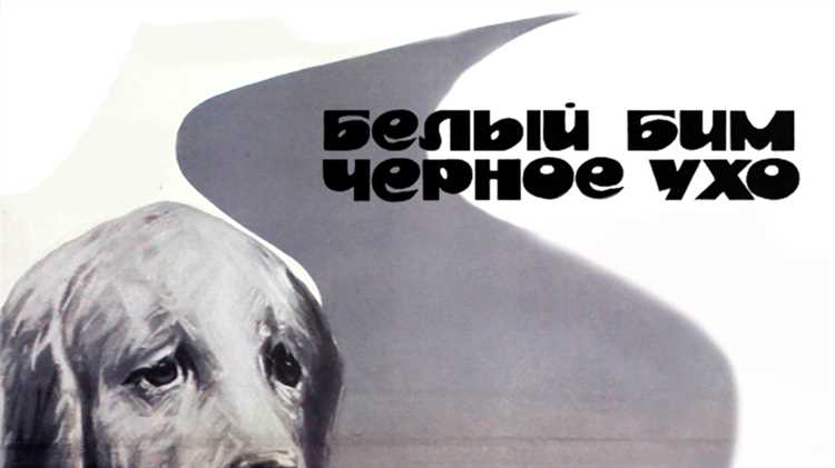 В конечном счете, фильм «Белый Бим Черное ухо» подводит к грустному, но вместе с тем красивому финалу. В тот самый день, когда Иван Иванович приводит свою собаку по кличке Бим в ветеринарную клинику, он видит, как на улице идет старый мужчина.